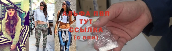 гашик Алексеевка