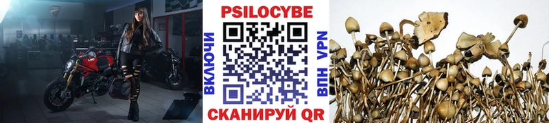 Псилоцибиновые грибы ЛСД  Борзя 