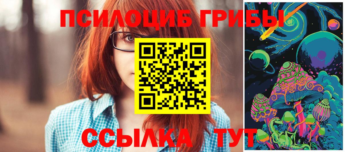 Галлюциногенные грибы Magic Shrooms Борзя