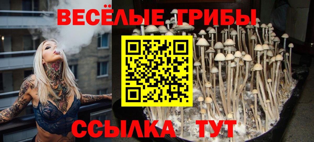 Галлюциногенные грибы GOLDEN TEACHER  Вход с VPN  Борзя 