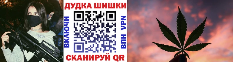 Конопля сатива Борзя